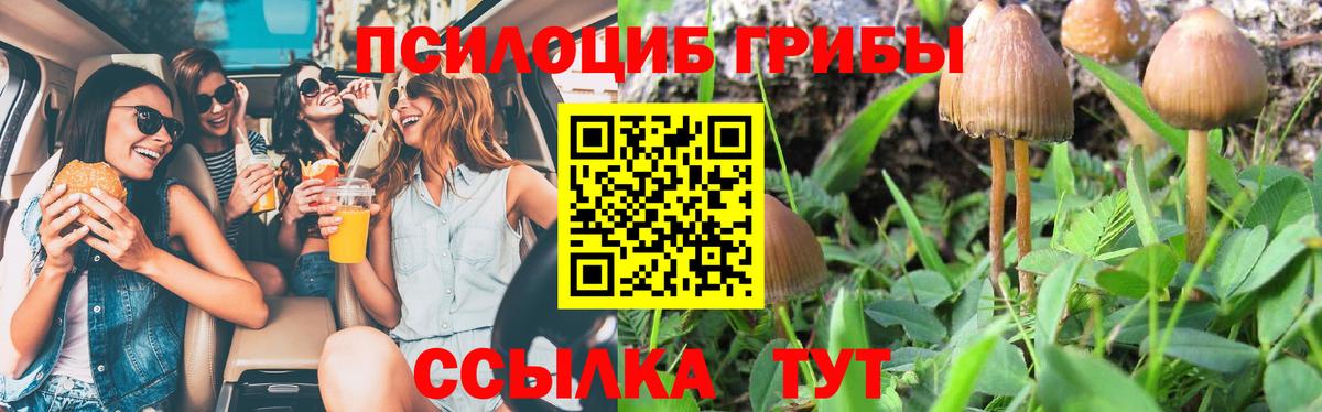 Городец  Псилоцибиновые грибы MAGIC MUSHROOMS  купить  цена  Вход с VPN 